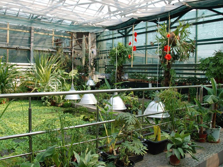 Zaporizhzhia City Children Botanical Garden, Ukraine